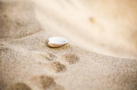 Vacation concept Stock Photos