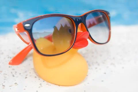 Vacation duck Stock Photos