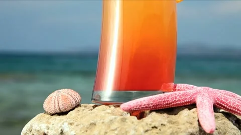 Vacation Stock Footage 7763458