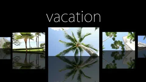Vacation Stock Footage 8998791