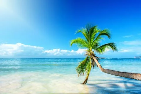 Vacation in paradise Foto stock