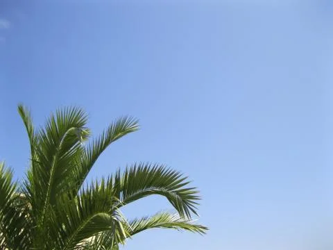 Vacation Stock Photos