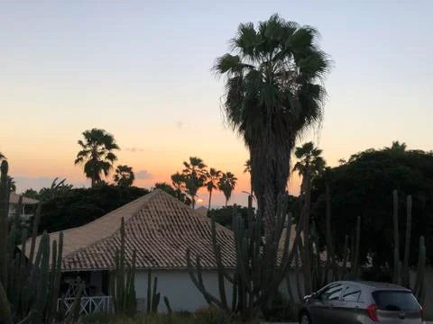 Vacation 库存照片