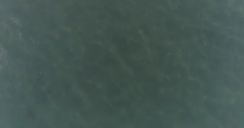 Vacation at sea Vidéo 153552588