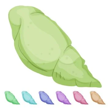 Vacation sea shell cartoon vector graphic 스톡 일러스트