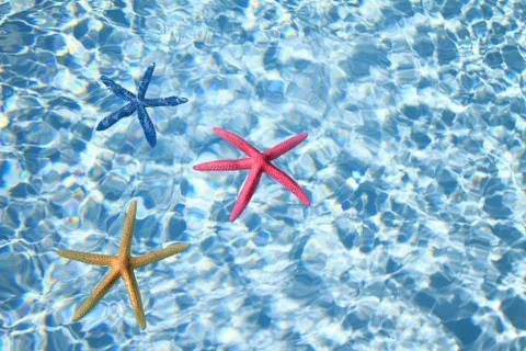 Vacation time Stock Photos