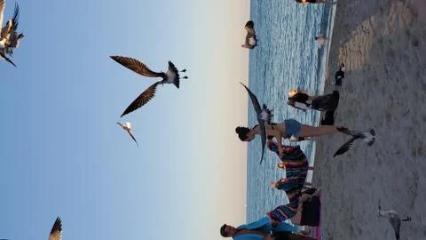 Vacation time Foto stock