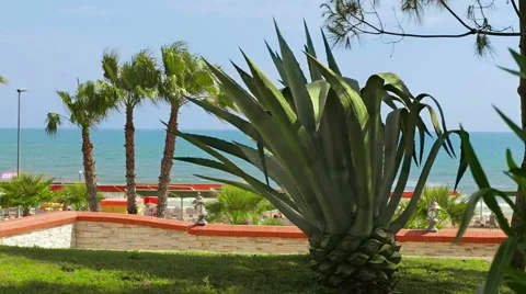 Vacation in Turkey 動画素材 49469635