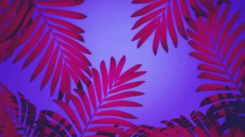 Vacation. VJ loop, animated footage.Tropical animated background. Stock Footage 172129728