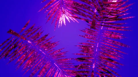 Vacation. VJ loop, animated footage.Tropical animated background. Stock Footage 172129734