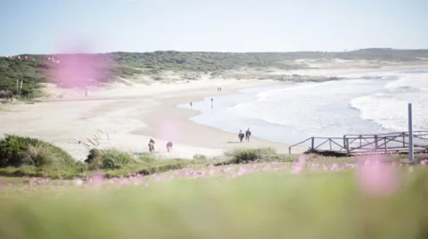 Vacationers walking on beach Stock Footage 63294520