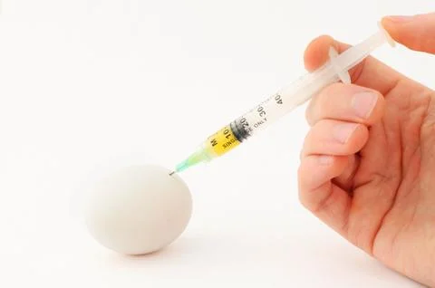 Vaccinated egg Stock Photos