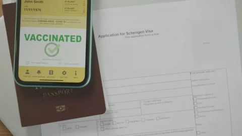 Vaccination Certificate and Schengen Visa Application Stock Footage 314273458