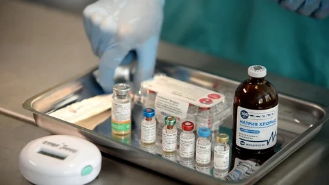 Vaccination of dog Stock Footage 93863215