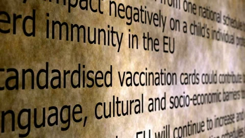 Vaccination Record and Immunization Schedule Document Stock-Footage 343011272
