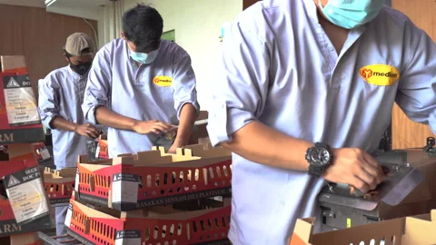 Vaccine process of small chicken using modern tools Stock Footage 148528834