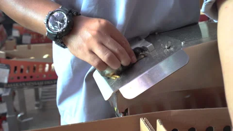 Vaccine process of small chicken using modern tools Stock Footage 148529240