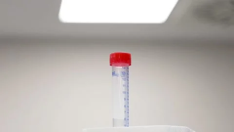 Vaccine studies in Turkey Video stock 145794623