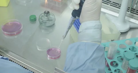 Vaccines medicines development. Scientist or chemist in hazmat coverall drops Stock Footage 266166416