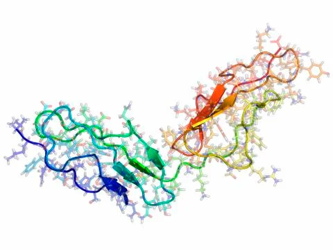 Vaccinia virus complement control protein イラスト素材