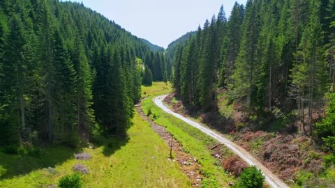 Vacha river, a few kilometers from the source of the river  Stock Footage 256037691