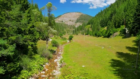 Vacha river, a few kilometers from the source of the river  Stock Footage 256037705