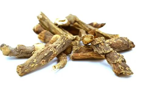Vacha root Foto stock