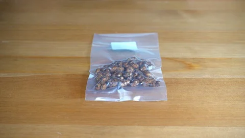 Vacuum bag with magic truffles. Micro dosing Psilocybe Video stock 127585443