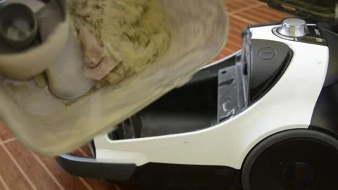 Vacuum cleaner and dust Stock Footage 141378261