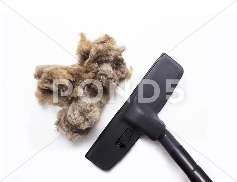 Vacuum cleaner arm against dust isolated on white background, top view Stock Photos