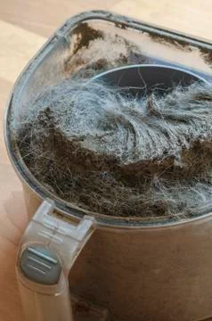 Vacuum cleaner container with garbage. Stock Photos