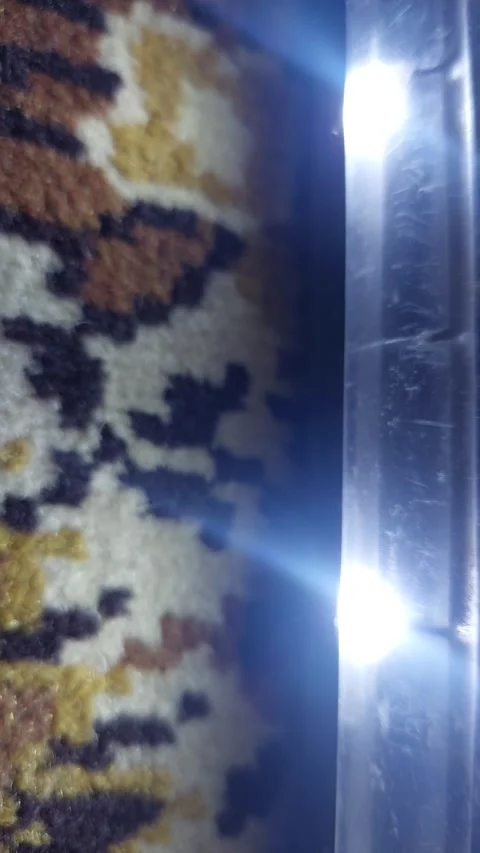 Vacuum cleaner with LED light cleaning a patterned carpet close up Stock Footage 333642048