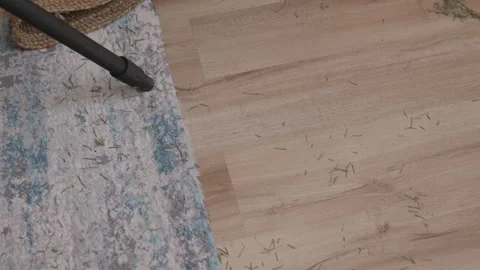 Vacuum cleaning pine needles from carpet after Christmas tree, close-up Vídeo Stock 332907529