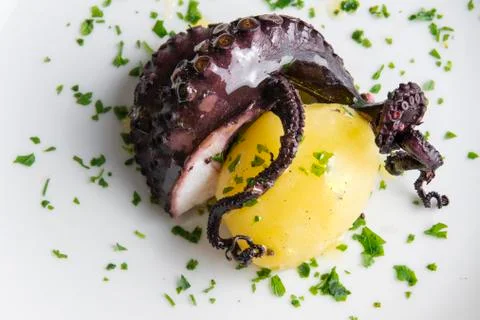 Vacuum cooked octopus at low temperature with potato	 Stock Photos