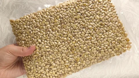 Vacuum packaging of shelled cedar pine nuts in a womans hand close-up, top view Stock Footage 316038651