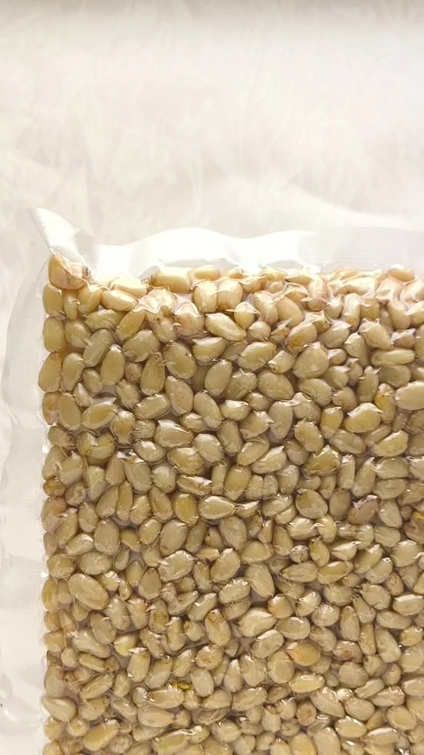 Vacuum packaging of shelled cedar pine nuts in a womans hand close-up, top view Stock Footage 316039878