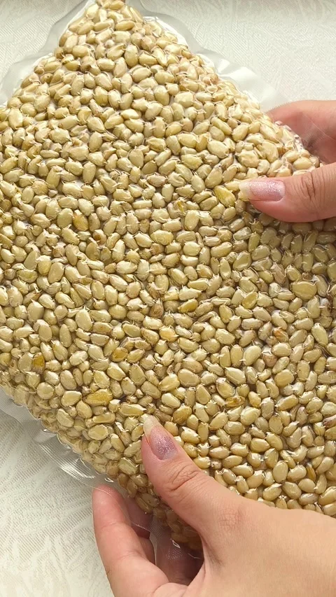 Vacuum packaging of shelled cedar pine nuts in a womans hand close-up, top view Stock Footage 316040288