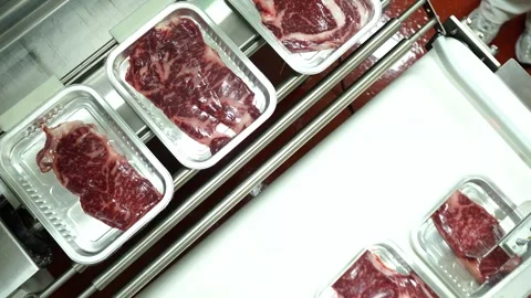 Vacuum Packed Meat Moving on Conveyor Belt in Food Factory 動画素材 335258432