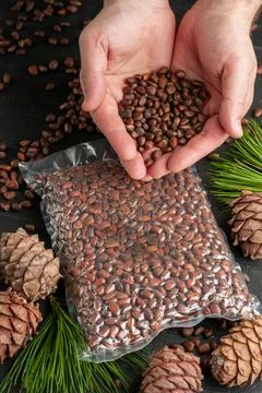 Vacuum packed pine nuts in shell. Nearby are pine cones, nuts and needles. Ma Foto stock