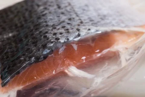 Vacuum-packed portion of salmon Stock Photos