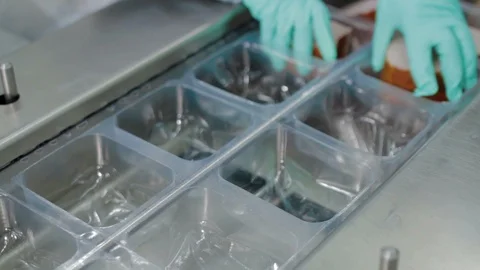 Vacuumed Packaging meat at the factory Stock Footage 94158081