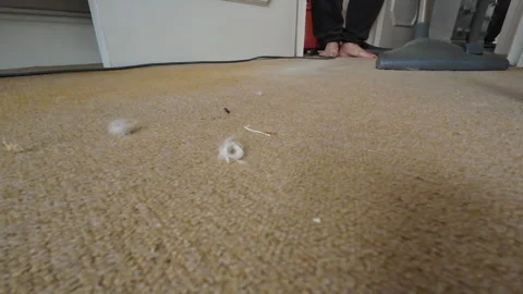 Vacuuming the carpet. 스톡 동영상 340513076