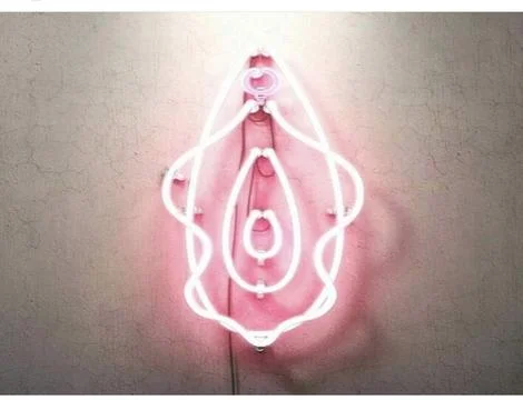 Vagina Stock Photos