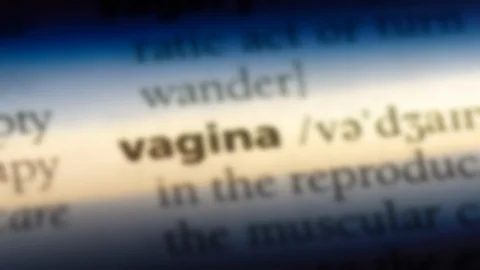 Vagina word in a dictionary. Stock Footage 99562682
