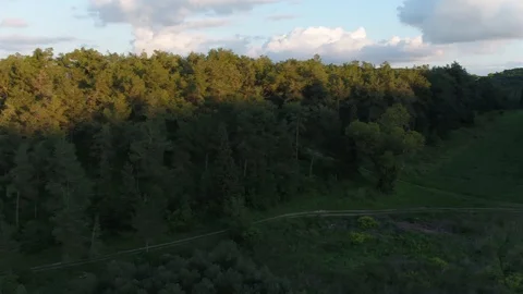 Vaiety of agriculture plot Video stock 126945827