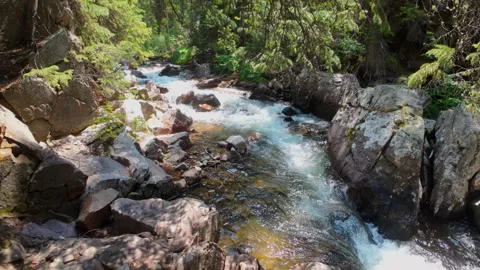 Vail, Colorado Mountain Stream in Summer Stock Footage 294469081
