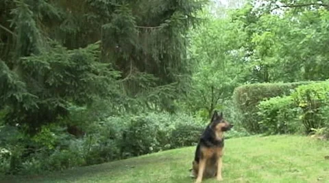 Vaillant Stock Footage 7746811