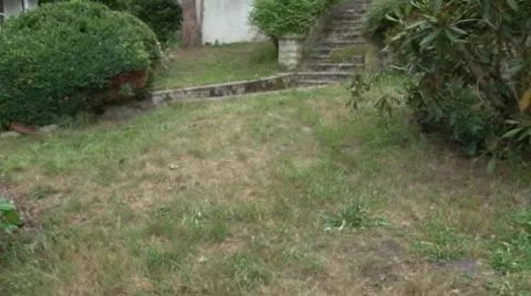 Vaillant3 Stock Footage 7746822