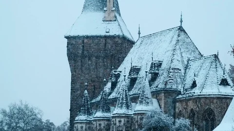 Vajdahunyad Castle in snowfall. Stock Footage 101202019
