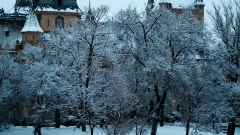 Vajdahunyad Castle in snowfall. Stock Footage 101202263
